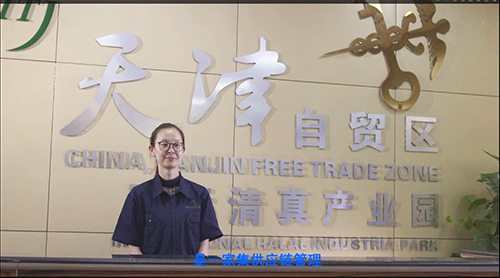 天津自贸试验区国际清真产业园成片交付