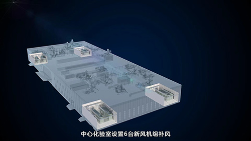 派尔实验室项目数字影片